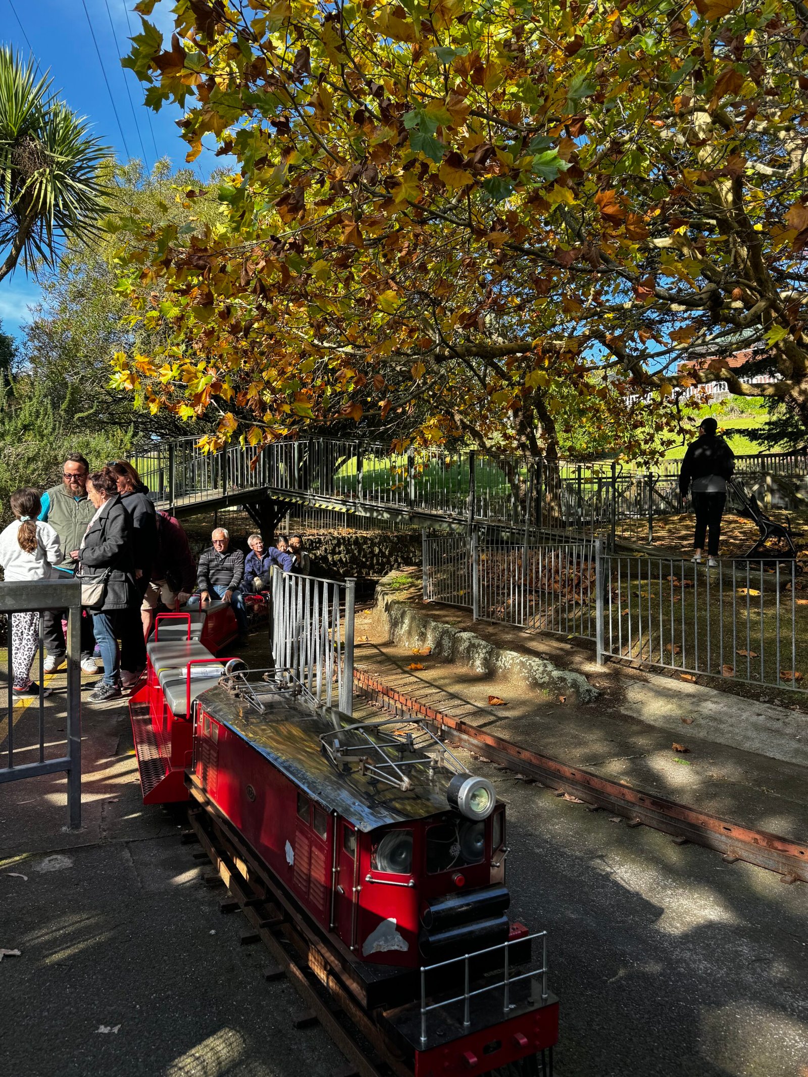 🚂 Panmure Basin蒸汽小火車 | 奧克蘭懷舊鐵道迷你體驗，親子遊必訪