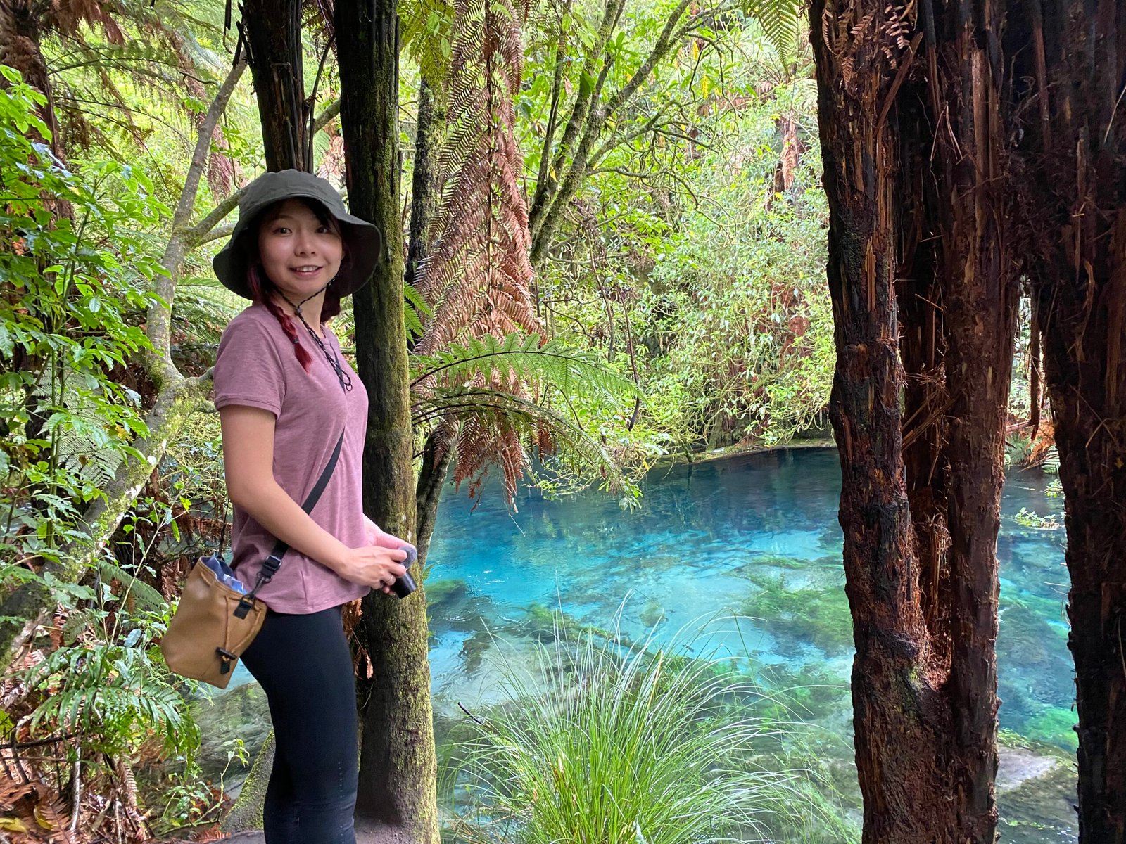 紐西蘭藍泉 (Blue Spring)|北島隱世天然美景全攻略|1或3小時輕鬆散步路線|奧克蘭到羅托魯瓦中途景點